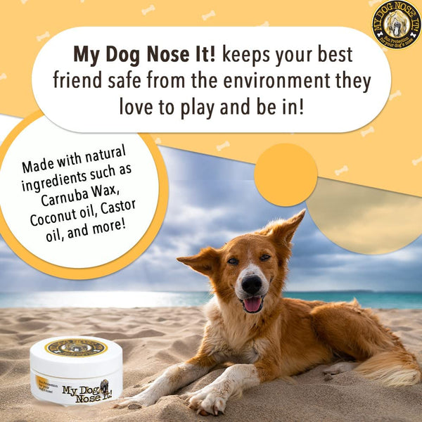 Bullfrog sunscreen for clearance dogs