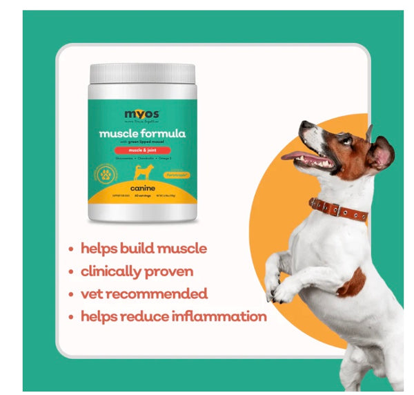 MYOS Muscle and Joint Formula with Green Lipped Mussel DOGsAGE