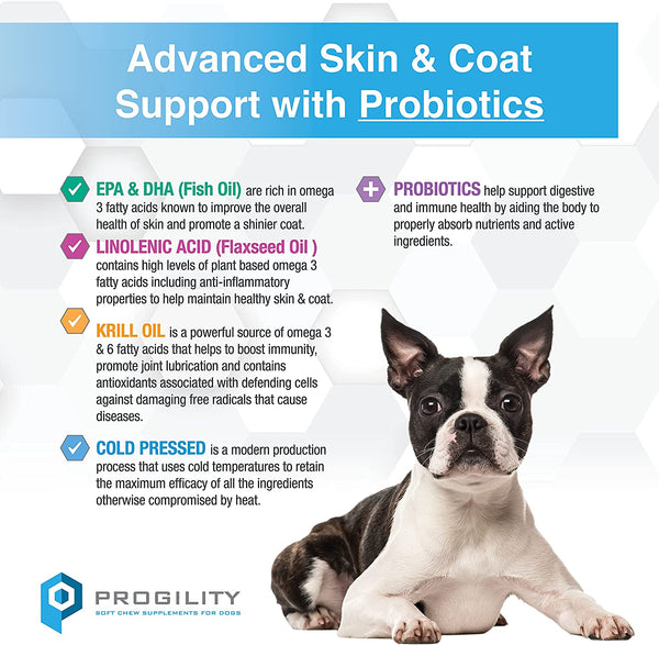 Dog coat supplements hotsell