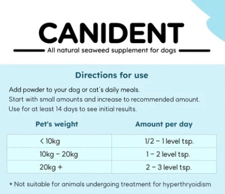 How many tsp hotsell of benadryl for dog