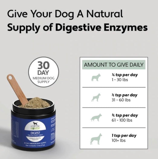 Natural enzymes for clearance dogs