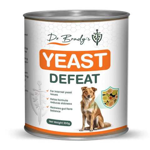 Dogs First Yeast Defeat